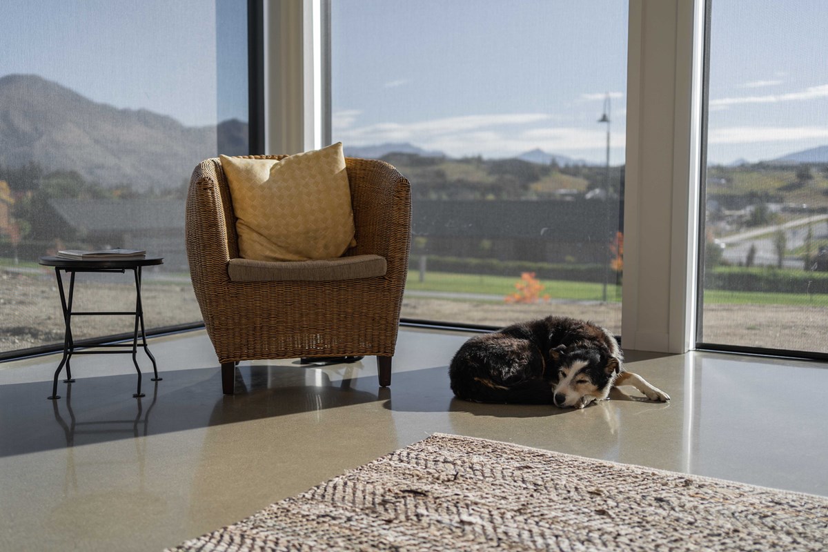 The afternoon sun streams into this spot for Colleen & John's dog to enjoy. A dogs life!