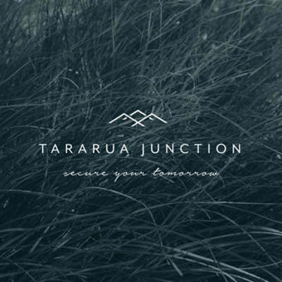 Tararua Junction, Greytown